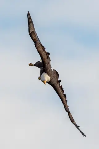 Conowingo Dam, Darlington, MD