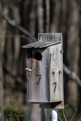 Huntley Meadows, Alexandria, VA