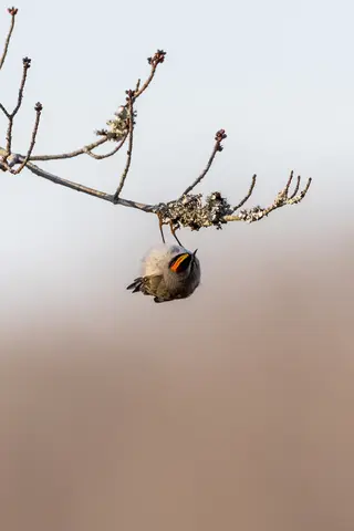 Huntley Meadows, Alexandria, VA