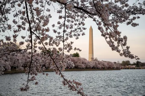 Tidal Basin, Washington, DC