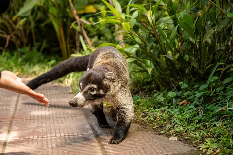 Monteverde, Costa Rica