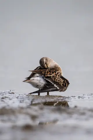 Huntley Meadows, Alexandria, VA