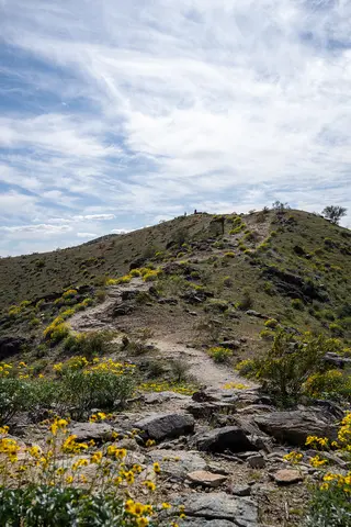 Sonoran Desert, Phoenix, AZ