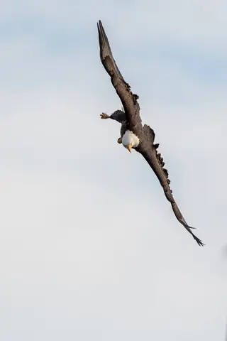 Conowingo Dam, Darlington, MD