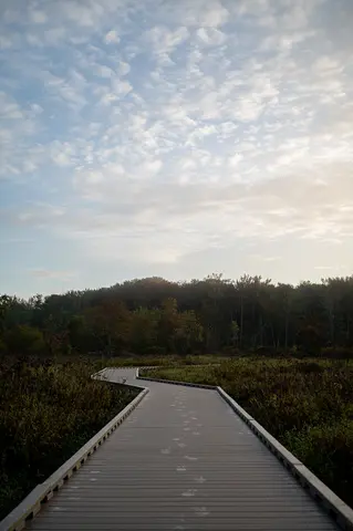 Huntley Meadows, Alexandria, VA