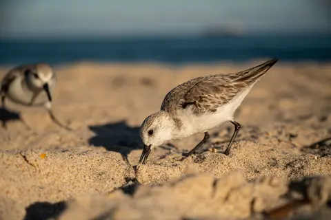 Fort Lauderdale, Florida