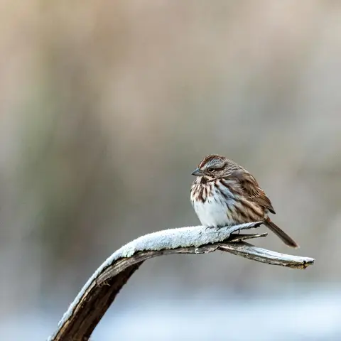 Huntley Meadows, Alexandria, VA