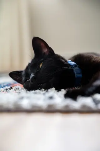 Home, Alexandria, VA