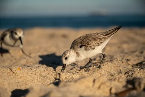 Fort Lauderdale, Florida