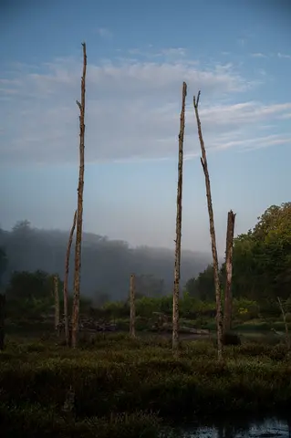 Huntley Meadows, Alexandria, VA