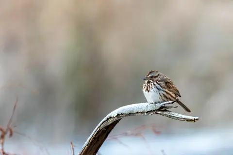Huntley Meadows, Alexandria, VA