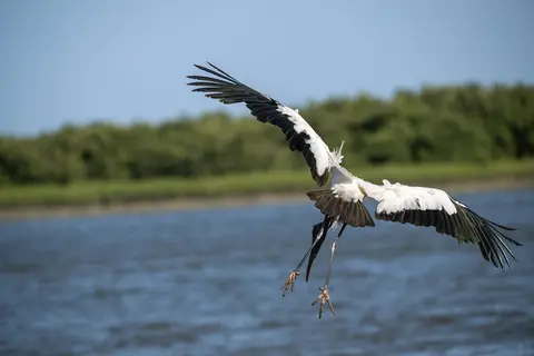 Anastasia Island, St. Augustine, FL