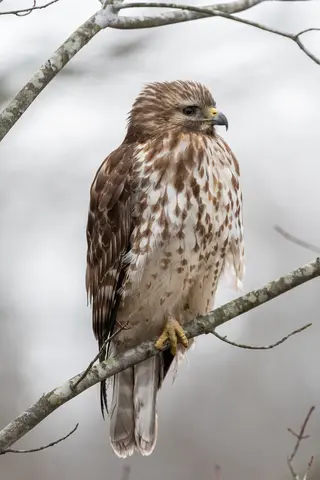 Huntley Meadows, Alexandria, VA