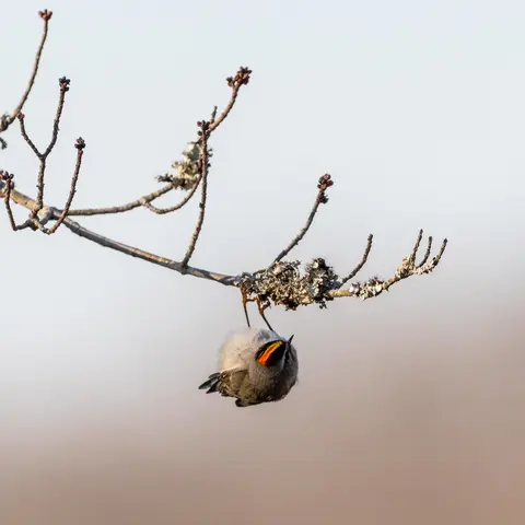 Huntley Meadows, Alexandria, VA