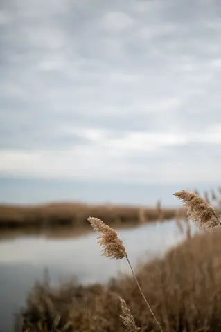 Bombay Hook, Delaware