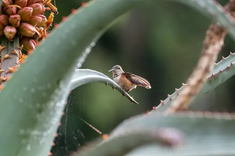 San Diego, California