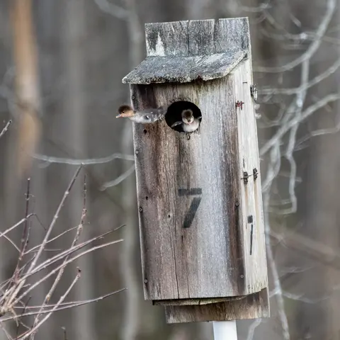 Huntley Meadows, Alexandria, VA